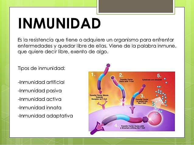 la primera información acerca del mecanismo de inmunidad
