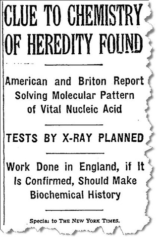 Newspaper article reporting on DNA's helical structure