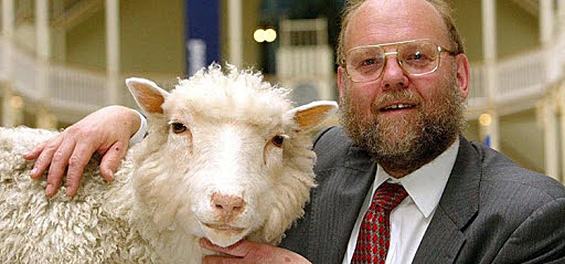 Primer Clonación: La oveja Dolly
