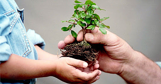 Derecho al medio ambiente