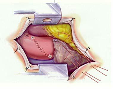 Dr. Andrew Rao y Dr. Shetty Kumar