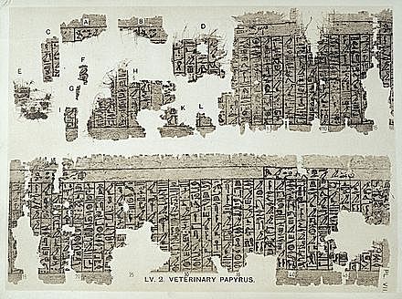 Primeros registros escritos sobre la medicina veterinaria