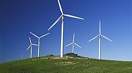 Timeline:  მე და ენერგია