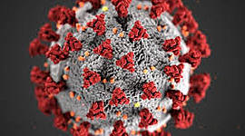 Timeline: Timeline coronavirus
