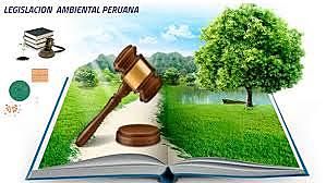 se crea leyes e instituciones que velen por el medio ambiente.