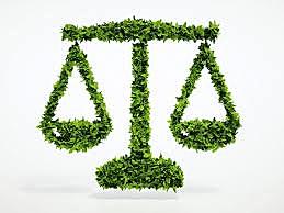 se promulga una serie de derechos y consideraciones ambientales