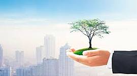 Timeline: POLÍTICAS AMBIENTALES Y DE CONSERVACIÓN EN EL PERU.