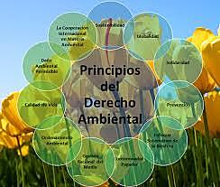 Se dicta  códigos y principios ambientales