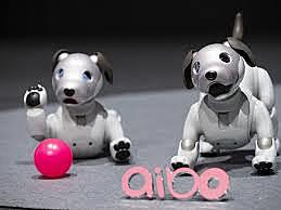 Aibo