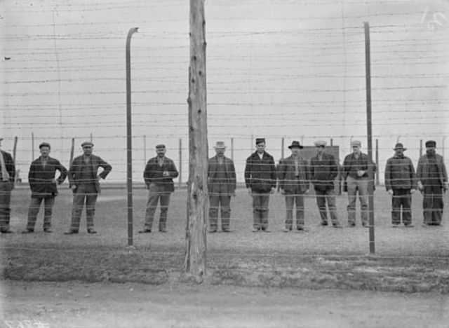 -2 Enemy Aliens (People) (Political and Social)