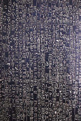 Escritos de enfermedades en humano , caballo y perros