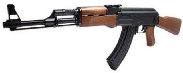 First firearms in Japan