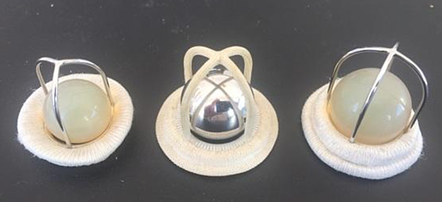 PROTESIS MECANICA JAULA BOLA