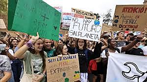 Movimiento ambientalista, animado mediante la creación de ONG nacionales e internacionales