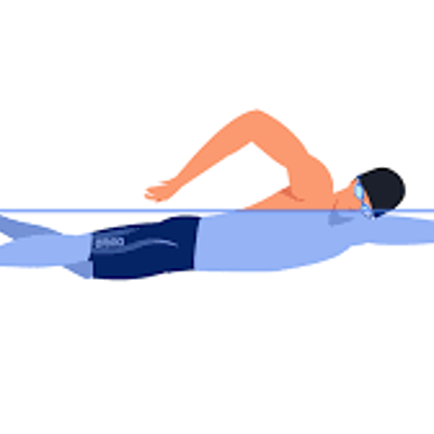 Timeline: ESTILO CROL O LIBRE