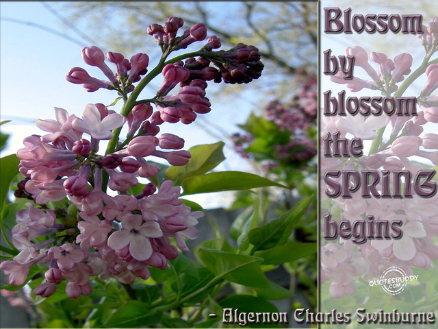 "Real Spring"  Page 165-168