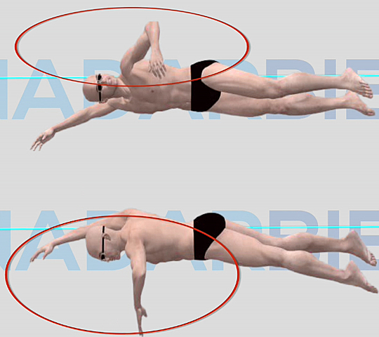 LA BRAZADA EN EL ESTILO CROL