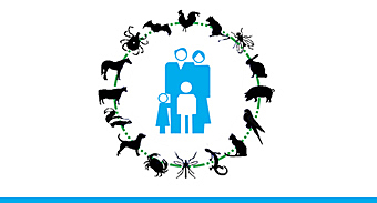 Término de "zoonosis"