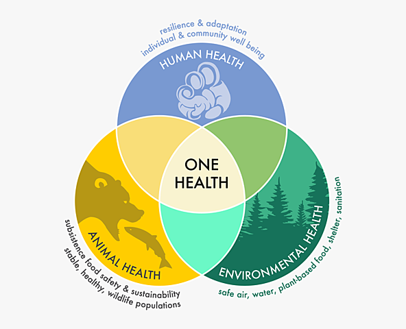 Concepto "una sola salud"