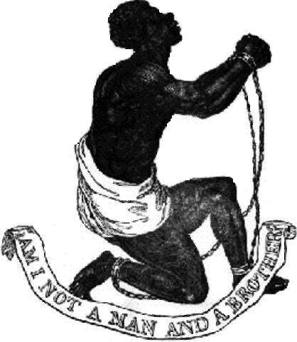 13th Amendment passed