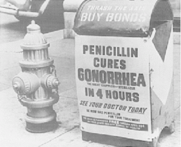 Penicillin Discovered