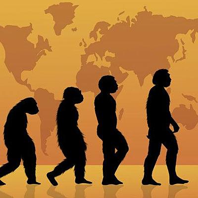 Timeline: Biología evolutiva