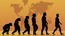 Timeline: Biología evolutiva