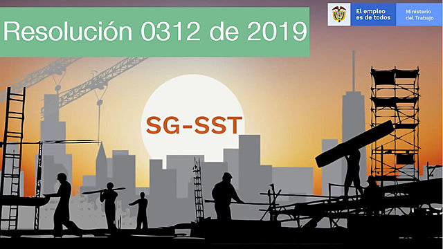 Resolución 0312 del 2019