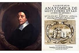 William Harvey (1578-1657)