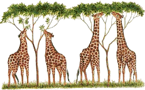 Jean-Baptiste Lamarck