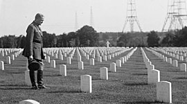 Timeline: Timeline with attitude