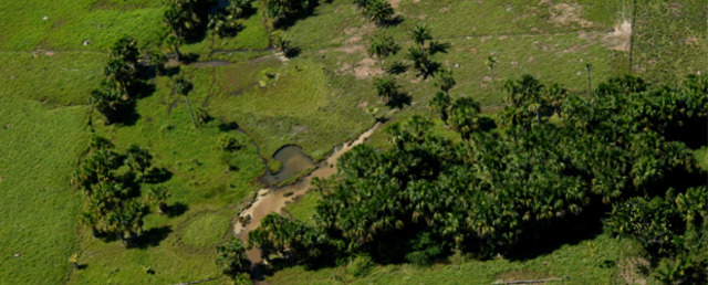 Criação da Reserva Legal