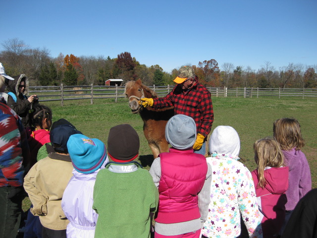 Field Trip to Doyle's Farm