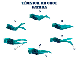 Patada del estilo crol