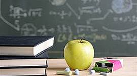 Timeline: პროექტის აქტივობები