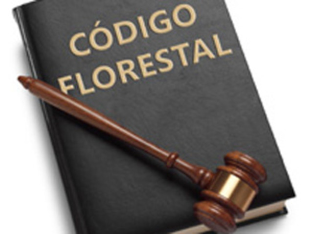 Editado o primeiro Código Florestal