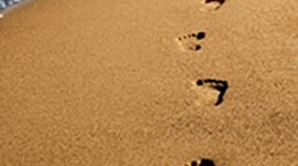 Timeline: TRAS LOS PASOS DE LA INFANCIA Y LA ADOLESCENCIA