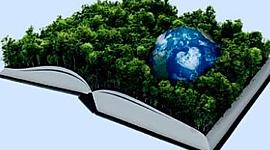 Timeline: Eventos trascendentes que dieron origen al concepto de desarrollo sustentable.