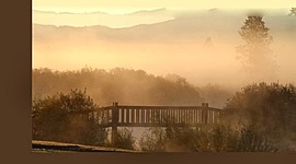 Timeline: Niebla de Unamuno Cap 22-33