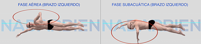 Brazada Estilo Crol.