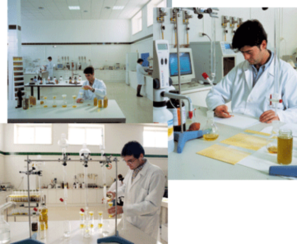 Desarrollo de la metodología del muestreo de aceptación