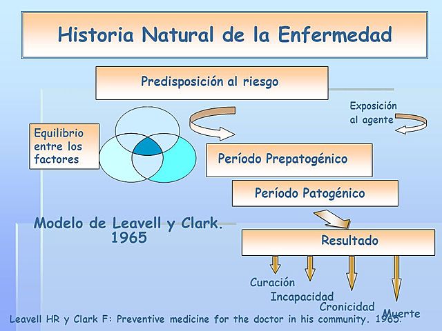 Periodos de la Enfermedad