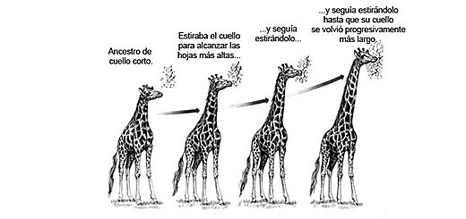 Corriente evolucionista: Jean-Baptiste Lamarck