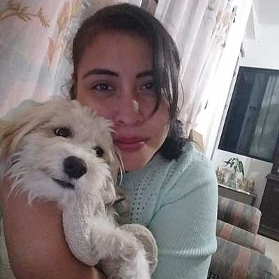 Timeline: Mafers' Life