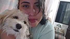 Timeline: Mafers' Life