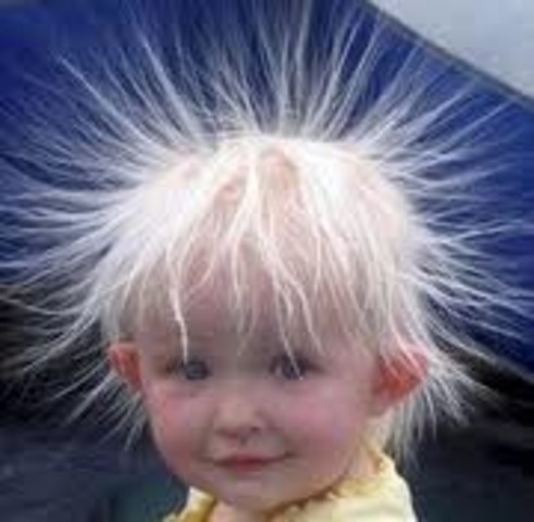 What Alessandro did in....