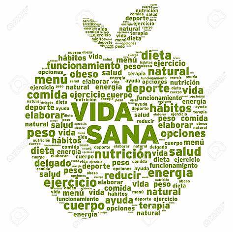 Los modelos conceptuales en la salud publica