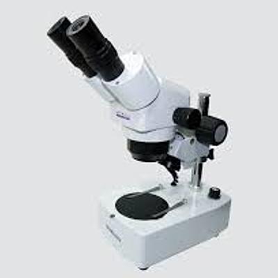 Timeline: El Microscopio
