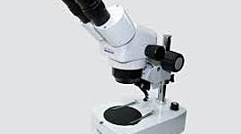 Timeline: El Microscopio