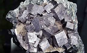 1656, Samuel Stockhausen